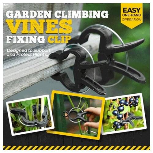 20pcs Reusable Green Garden Plant Fixed Clips for Greenhous Vegetables Flowers Stem Vines Grape Clamp Support Fastener