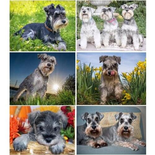 Schnauzer puzzle dog photos custom diamond painting,Full,3d daimond Embroidery,square Rhinestone,Mosaic 5d Cross Stitch C574