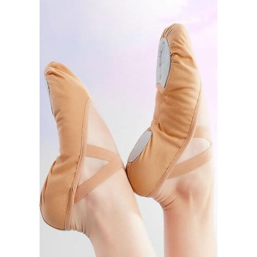 Women Ballet Training shoes Dance Adult Children Body ballet Shoes Soft Sole Professional Canvas Dance Shoes for Ballet