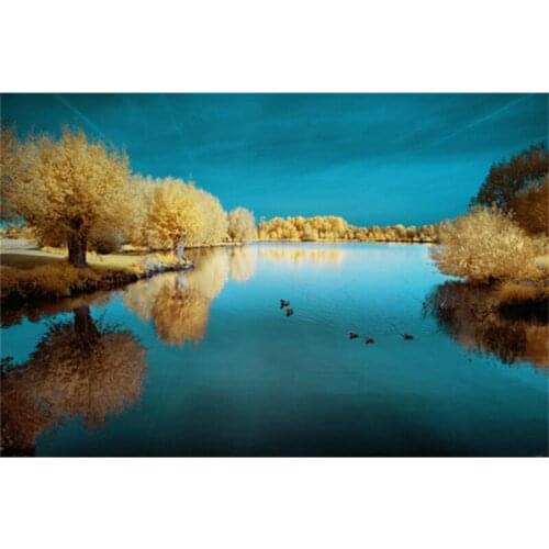 3d picture rhinestones diamond embroidery DIY diamond painting diamond mosaic Autumn Landscape pattern embroidery kit beadwork