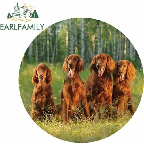 EARLFAMILY 13cm x 13cm for Irish Red Setter Family Dog Car Bumper Window Stickers Personality Creative Sticker Fashion SUV Decal