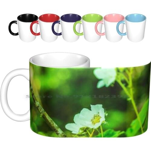 Tiny White Ceramic Mugs Coffee Cups Milk Tea Mug Forest Woods Blossom Blossoms White Pink Petal Flower Flowers Floral Tree