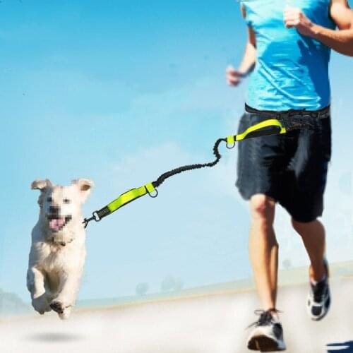 Pet supplies pet traction rope multifunctional running reflective double telescopic dog rope dog chain traction