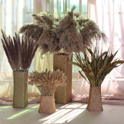 Dekoration Small Reed Natural Dried Small Pampas Grass Phragmites Wedding party christmas Flower Bunch for Home Decor