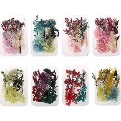 1 Box Real Mix Dried Flowers for Resin Jewellery Dry Plants Pressed Flower F3ME