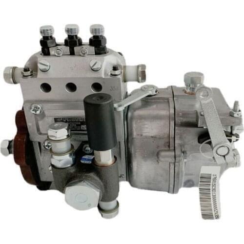 Wuxi weifu diesel fuel injection pump 3PL137 3PL for Kipor KD388