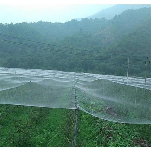 5m Orchard Bird-proof Net Horticultural Net White nylon Net Strawberry Grape Protection Net