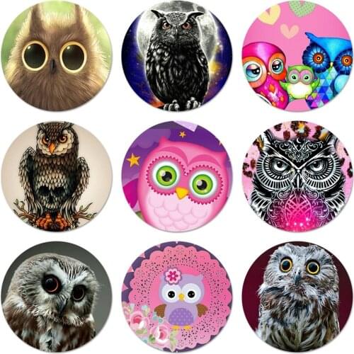 Lovely owl animal Badge Brooch Pin Accessories For Clothes Backpack Decoration gift 58mm