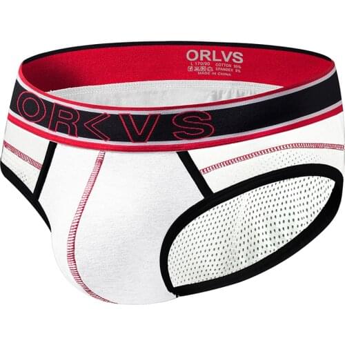 2020 ORLVS Brand Men Underwear Briefs Mesh Mens Sexy Calzoncillos Slip Homme Shorts Panties Brief Man Panty Fashion Short OR91