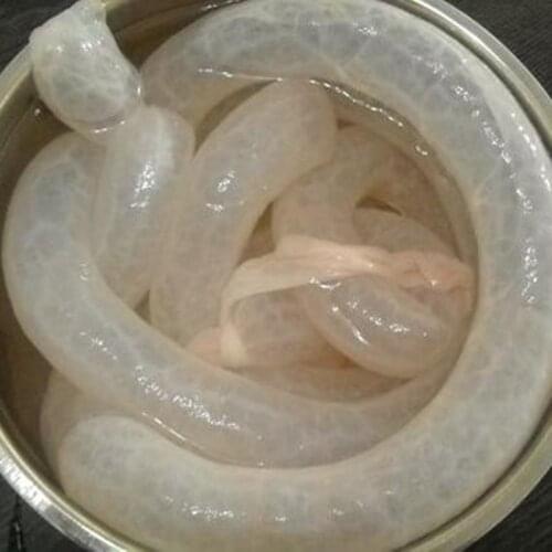 Hamburger Tools Cooking Sausage Cover Soy Meters Dog Skin Shell Basters Casings Coat edible Grade Wide Processing Packaging