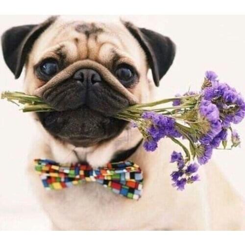 Pet Dog Animal Fower For Embroidery Needlework 14CT Counted Unprinted DIY Cross Stitch Kits Handmade Art Wall Decor