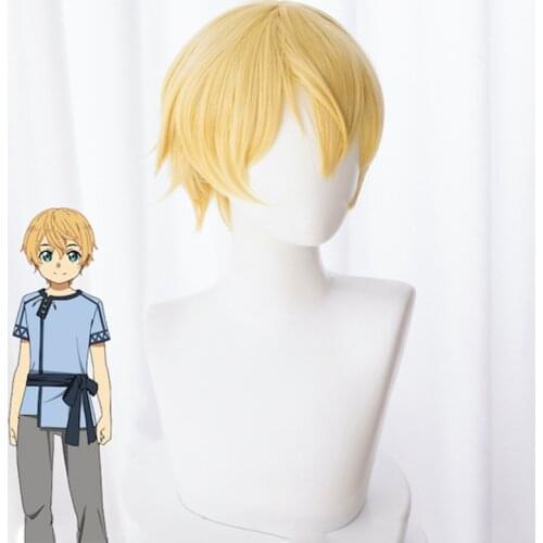 Anime Sword Art Online: Alicization Cosplay Wig Eugeo Cosplay Wig Heat Resistant Synthetic Wig Halloween Carnival Party Cosplay