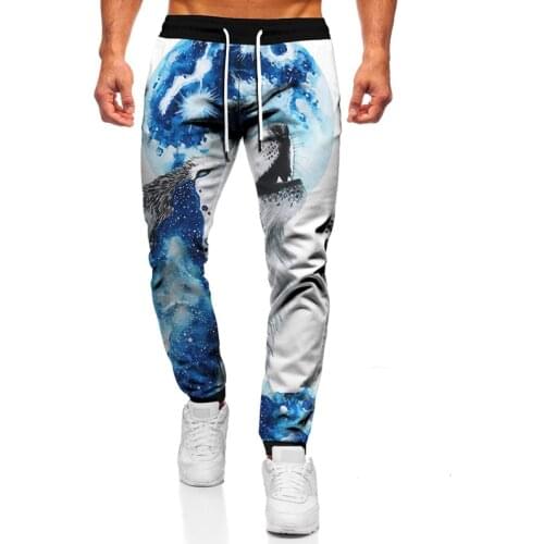 Personality Digital Print Wolf Sweatpants Men Women Fitness Joggers Spring Autumn High Street Animal Trousers 3D Pants Sweatpant