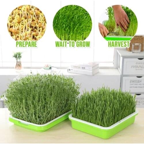Home Garden Sprouting Tray Bean Sprout Planter 2-layer Hollow Kit Germination Tool Seedling Tray Flower Kit Germination Tool