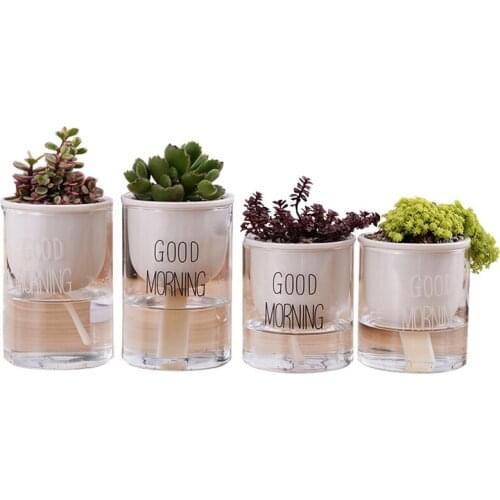 Hydroponics Container Fleshy Automatic Water Absorption Flowerpot Creative Pottery Potted Plant Desktop Ceramics Home Decoration