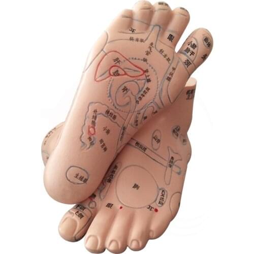 13cm Foot Reflex Zone Massage Model, Not Acupuncture Model, Foot Massage Model Chinese Language Feet Reflexology,1 Pair Medical