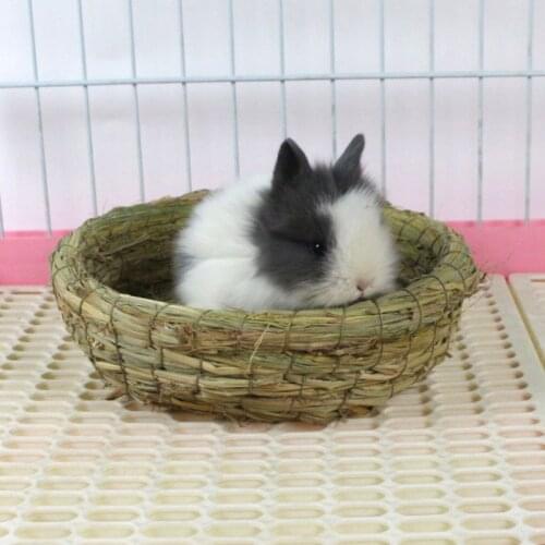 ZTHOME Animal Care Items