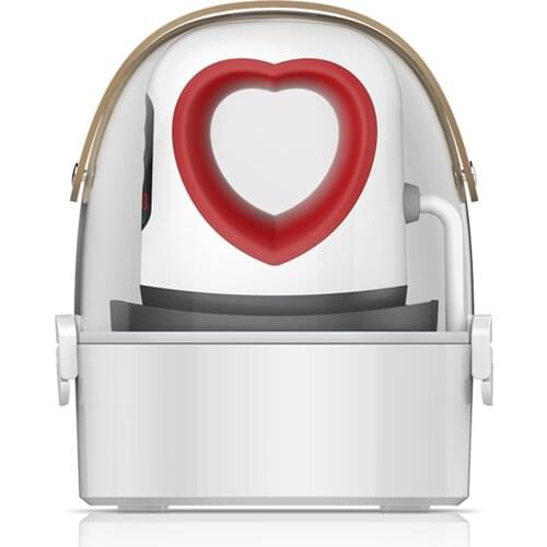 Mini Heat Press Machine T-Shirt Portable Printing Easy Heating Transfer Press Iron Machines for Clothes Bags Hats Pads Blanket