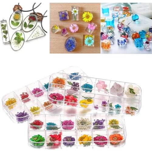 1 Box Daffodil Daisy Real Dried Flower Plant UV Silicone Molds Eternal Preserved Flowers For DIY Epoxy Resin Mold Jewelry Making