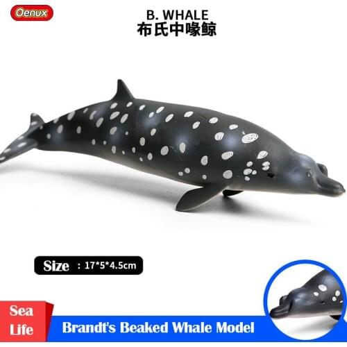 Sea Life Brandts beaked Whale Simulation Animals Collection Model Plastic Hand Model Series Christmas Toys Gift For Children