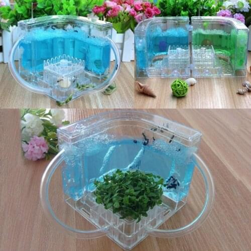 3D Ant Farm Educational Maze Live Feeding System Ants Habitat World Pet Villa