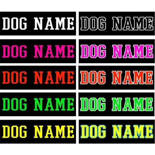 Rabbi tree Accessories For Suitcases