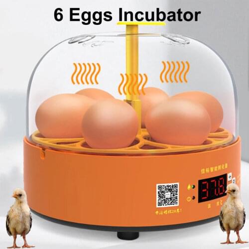 Egg Incubator Farm Hatchery Machine for Chicken Duck Bird Pigeon Hatcher Mini 6 Eggs Automatic Temperature Broode Incubator