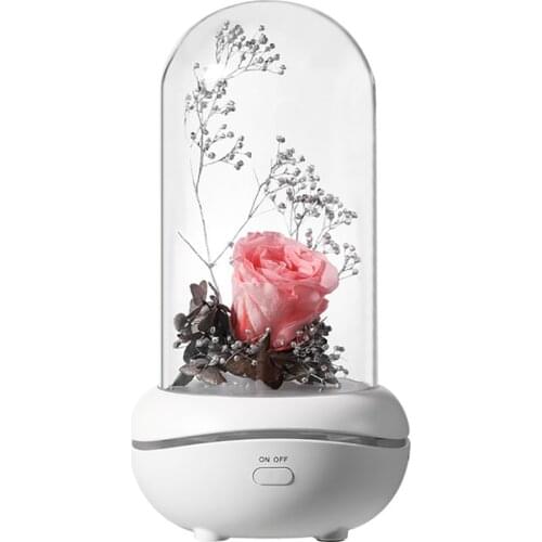 LED Night Light with White/ Pink/ Red Everlasting Rose in Plastic Dome, Rose Flower Aroma Diffuser Dimmable Bedside Night Lamp