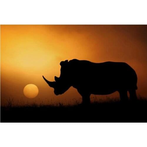 5d sunset diamond mosaic painting rhinoceros rhinestone embroidery animal diamond art draw picture puzzle wall paper home decor