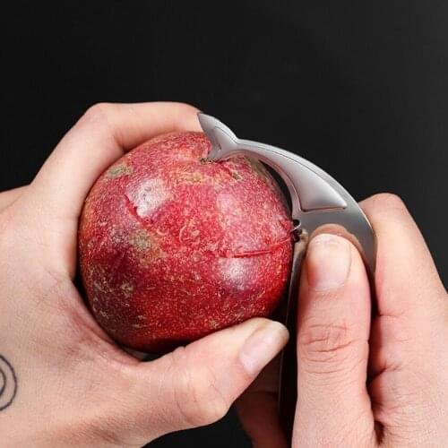1PCS Multifunctional Passion Fruit Spoon Fruit Vegetable Tool Stainless Steel Dolphin Shape Melon Watermelon Avocado Opener