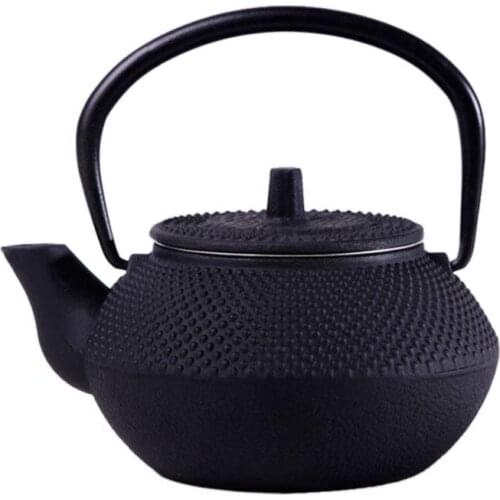 Style Cast Iron Kettle Teapot Comes With Strainer Tea Pot 300ml Black