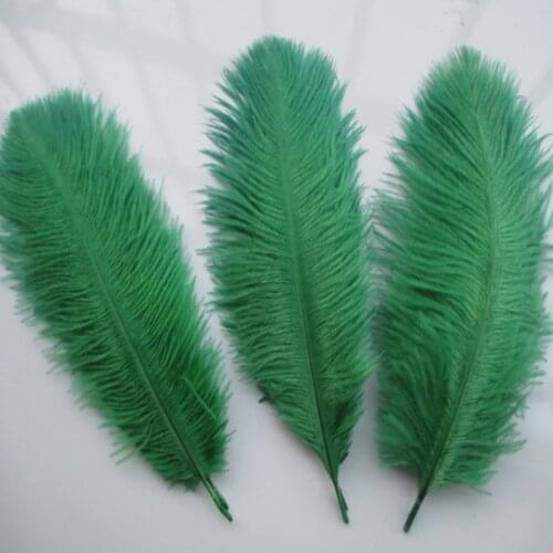Beautiful Grass green ostrich feathers 10 pcs feather length 6-8 inches / 15-20 cm DIY costume and hat stage decoration