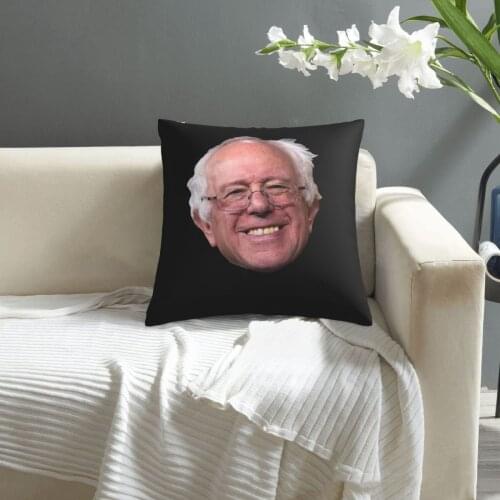 Bernie Sanders pillowcase printed cushion cover sofa waist pillow pillow cover