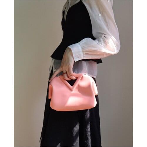 Luxury Triangle Frame Pouch 2021 Trend New Designer Bags for Women Stylish Female Purse Lady Daily Tote Soft Dumpling Handbags