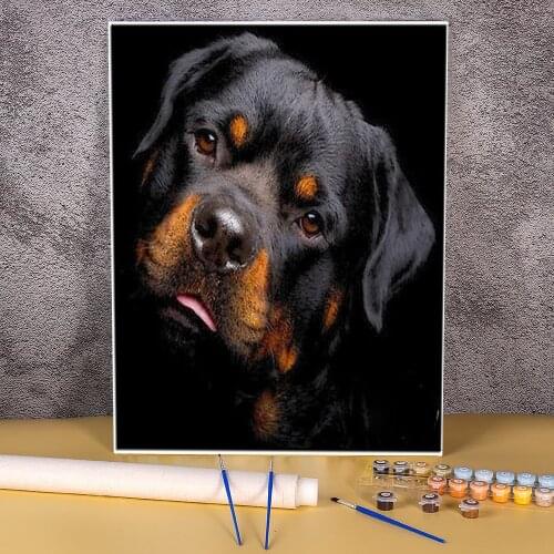 Animal Dog Rottweiler Painting By Numbers Package Acrylic Paints 40*50 Canvas Pictures Handmade Children Drawing