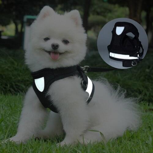 Mesh Small Dog Harness And Leash Set Puppy Cat Vest Harness For Chihuahua Pug Bulldog Arnes Perro Cat Dog Harness Vest petshop