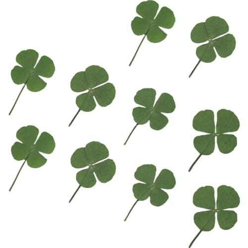 10Pcs Four-leaf Filling flower Dried Leaf Clover UV Resin Decor Nail Art Epoxy Mold DIY Filling Jewelry Four-leaf clover flower