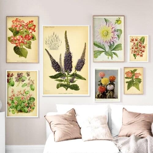 Vintage Botanical Flowers Posters and Prints Antique Plants Illustration Canvas Painting Wall Art Pictures for Living Room Decor