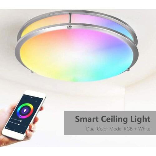 FanJu Ceiling Lamps