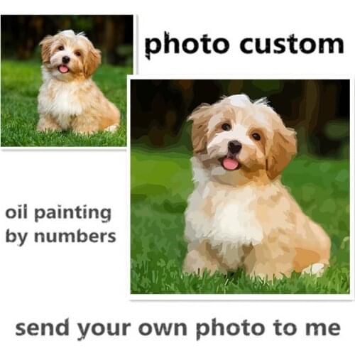 Personality Photo Customized Unique Gift DIY Oil Paint Paintings By Numbers Picture Drawing by Numbers Canvas Coloring Acrylic
