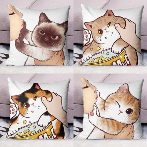 B.M.F Decorative Pillowcases