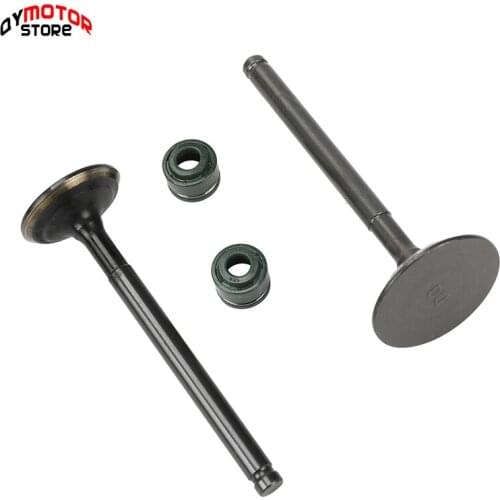 Motorcycle Intake exhaust valves with Oil Seal kit For 60mm Bore YinXiang YX 150 160 150cc 160cc Engine Dirt Pit Bikes ATV Parts