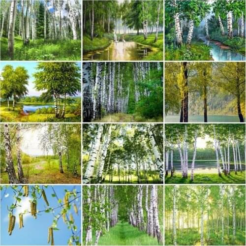 Huacan Full Square Diamond Painting Landscape 5D DIY Diamond Embroidery Rhinestones Full Mosaic White Birch Home Decor