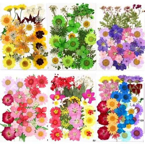 Pressed Flowers Small Dried Flowers Scrapbooking Dry DIY Preserved Flower Decoration Wedding Home Mini Bloemen flores secas