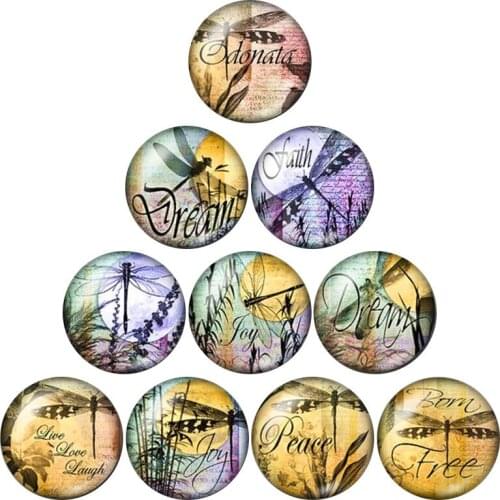 New Beauty Vintage dragonfly 10pcs mixed 12mm/16mm/18mm/25mm Round photo glass cabochon demo flat back Making findings ZB0567