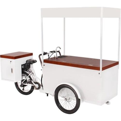 New Mobile Electric Ice Cream Cargo Bike With High Capacity Freezer for Sell Cold Drinks Such as Cola Beer Adult Tricycle