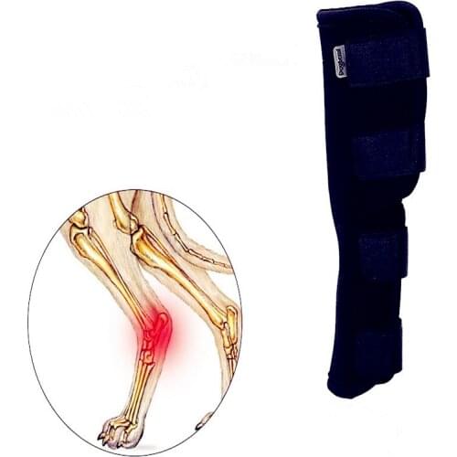 Колышки для дрессировки FGHGF China At AliExpress