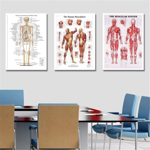 High Definition The Human Musculature Canvas Painting Wall Pictures art Wall Art Poster Pictures Hospital Office Decoration