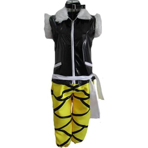 HOT New Arrival Fairy Tail cosplay costume