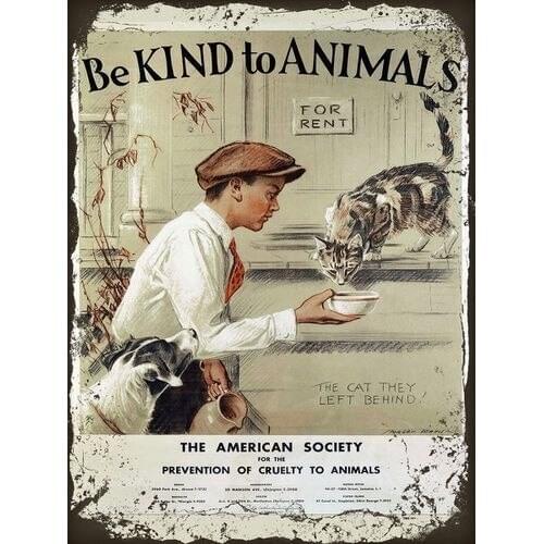 Metal Sign Retro Style Kind To Animals Boy Cat Decorative Wall Door Tin Plaque